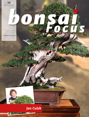 Bonsai Focus FR #98