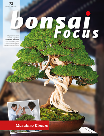 Bonsai Focus IT #72