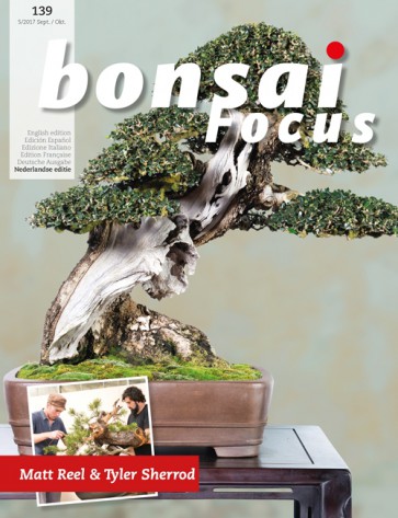 Bonsai Focus NL #139