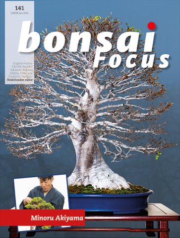 Bonsai Focus NL #141