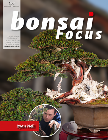 Bonsai Focus NL #150