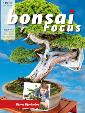 Bonsai Focus EN #143/#166