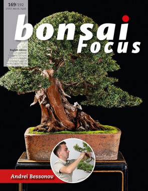 Bonsai Focus EN #169/#192