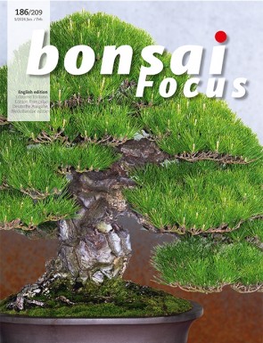 Bonsai Focus EN #186/#209