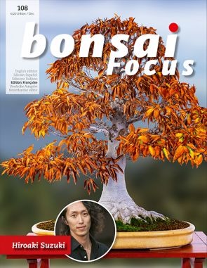Bonsai Focus FR #108