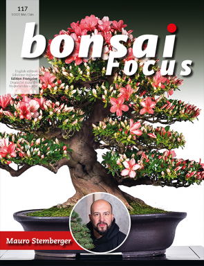 Bonsai Focus FR #117