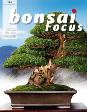 Bonsai Focus NL #126