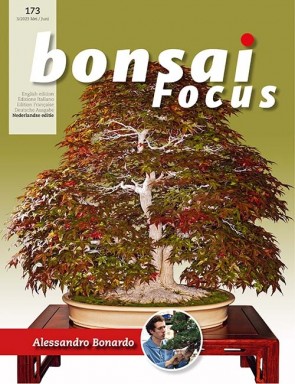 Bonsai Focus NL #173