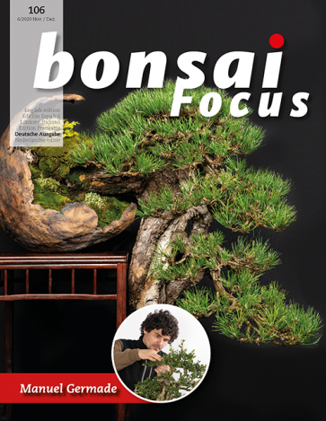 Bonsai Focus DE #106