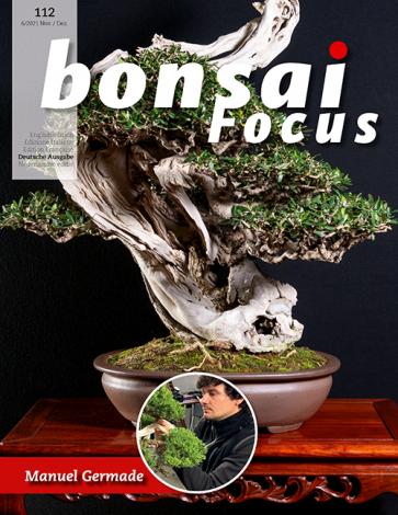 Bonsai Focus DE #112