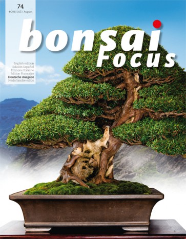 Bonsai Focus DE #74