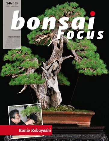 Bonsai Focus EN #146/#169