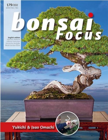 Bonsai Focus EN #179/#202