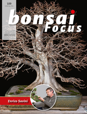 Bonsai Focus FR #109