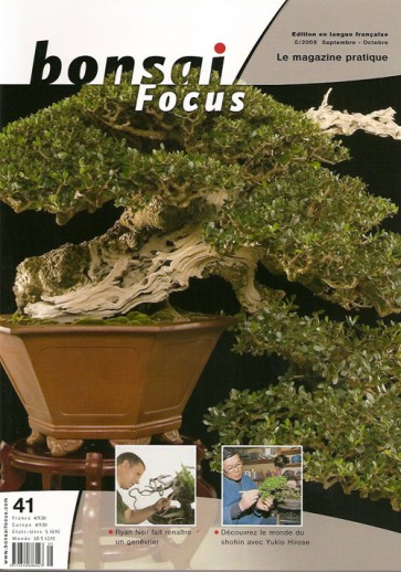 Bonsai Focus FR #41 