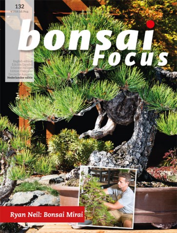 Bonsai Focus NL #132