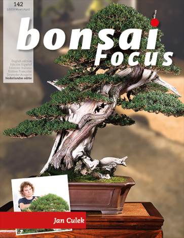 Bonsai Focus NL #142
