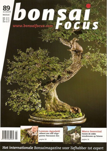 Bonsai Focus NL #89 