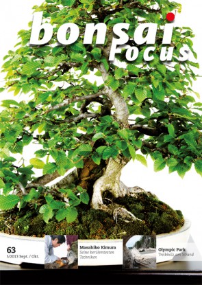 Bonsai Focus DE #63