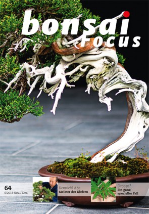 Bonsai Focus DE #64