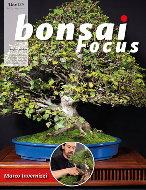 Bonsai Focus EN #166/#189