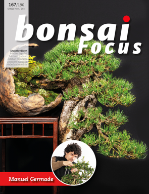 Bonsai Focus EN #167/#190