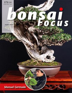 Bonsai Focus EN #173/#196