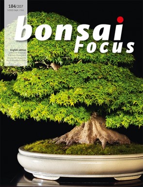 Bonsai Focus EN #184/#207