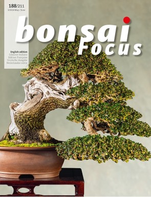 Bonsai Focus EN #188/#211
