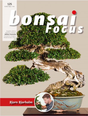 Bonsai Focus FR #125