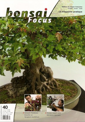Bonsai Focus FR #40 