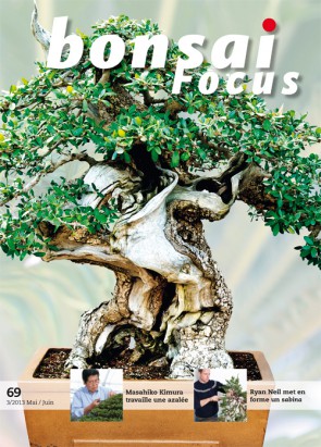 Bonsai Focus FR #69