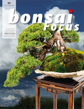 Bonsai Focus FR #80