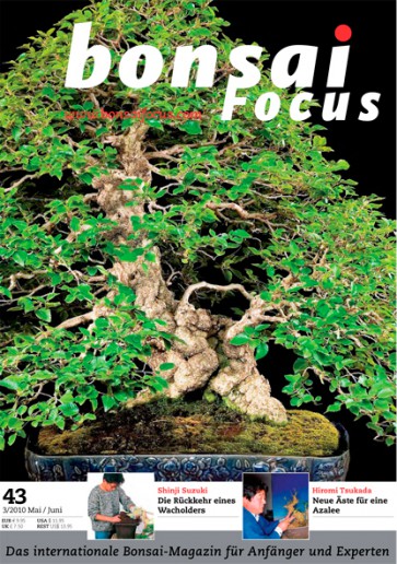 Bonsai Focus DE #43