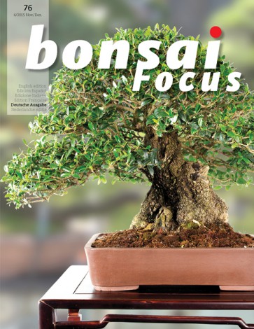Bonsai Focus DE #76