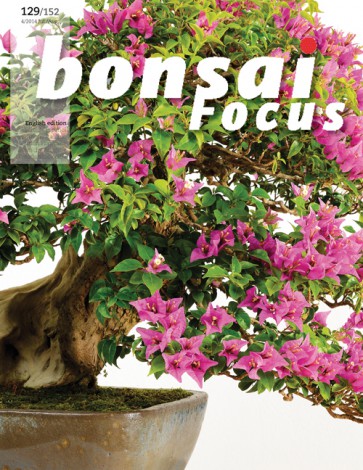 Bonsai Focus EN #129/#152