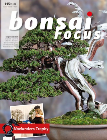 Bonsai Focus EN #145/#168