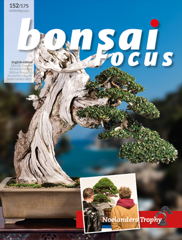 Bonsai Focus EN #152-#175