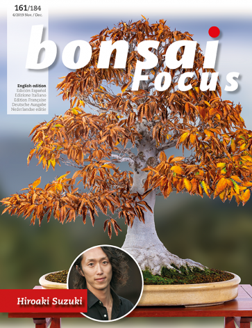 Bonsai Focus EN #161/#184