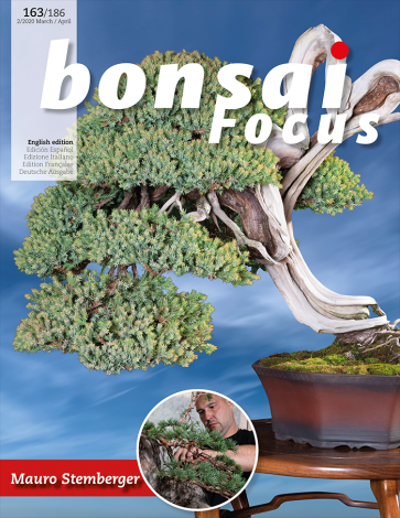 Bonsai Focus EN #163/#186