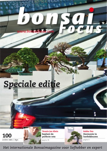 Bonsai Focus NL #100