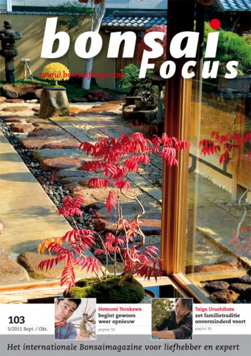 Bonsai Focus NL #103