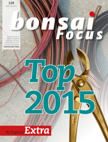Bonsai Focus NL #129