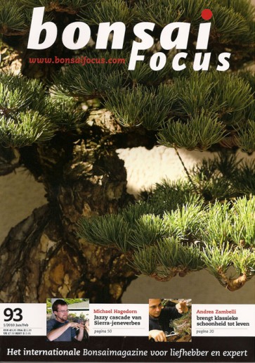 Bonsai Focus NL #93