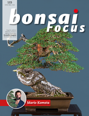 Bonsai Focus DE #115