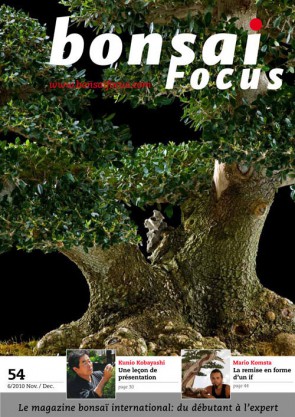Bonsai Focus FR #54