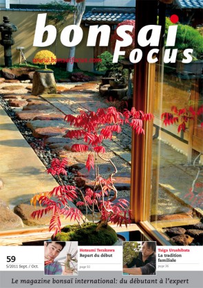 Bonsai Focus FR #59