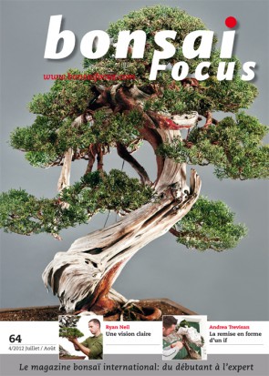Bonsai Focus FR #64