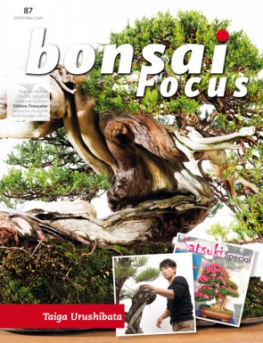 Bonsai Focus FR #87