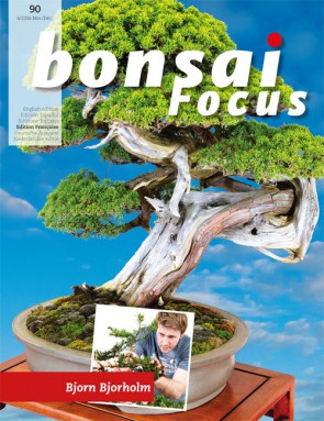 Bonsai Focus FR #90